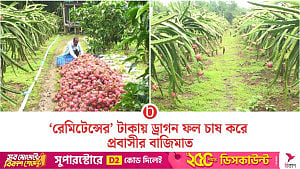 হবিগঞ্জে ড্রাগন বাগান থেকে প্রবাসীর আয় বছরে ৩০ লাখ টাকা