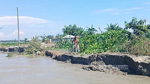 চার ঘণ্টার ভাঙনে কুড়িগ্রামে ১৫ বাড়ি নদীগর্ভে