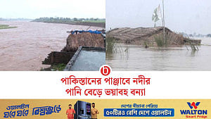 পাকিস্তানের পাঞ্জাবে বন্যায় ঘরছাড়া হাজারো মানুষ