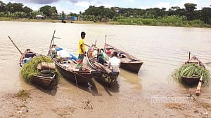 ভরা মৌসুমেও শরীয়তপুরে ইলিশের দেখা নেই