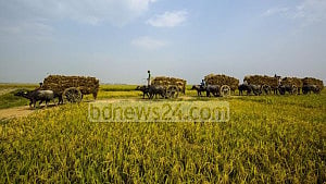 Farmers’ crops to come under climate insurance