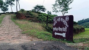 Tea worker killed in BSF firing