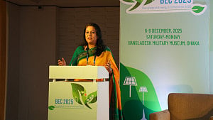 Renewable energy transition can't be made overnight: Rizwana