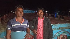 সুনামগঞ্জে সুরমা নদী থেকে ৩১ ভারতীয় গরু জব্দ, আটক ২