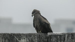শৈত্যপ্রবাহ নেই, তাহলে এত শীত কেন?