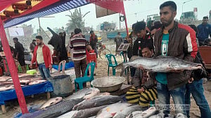 বগুড়ার মেলায় ২৬ কেজির কাতলা, ১২ কেজির মিষ্টি