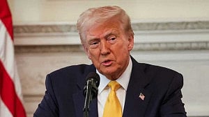 $29 million of US funds went to firm with 2 people: Trump