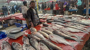 পোড়াদহে শতবর্ষী মাছের মেলা, নজর কাড়ছে মিষ্টিও