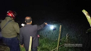 3 shot dead in Jhenaidah