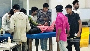 ভৈরবে পাগলা কুকুরের কামড়ে আহত ২৮