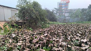 মাদারীপুরে আবর্জনায় ভরাট ‘ভূঁইয়ার মাঠ’, ভোগান্তিতে এলাকাবাসী