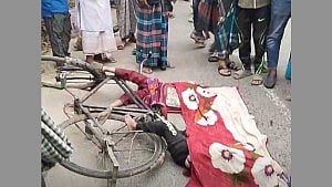 নোয়াখালীতে ট্রাকচাপায় ভাই-বোনের মৃত্যু