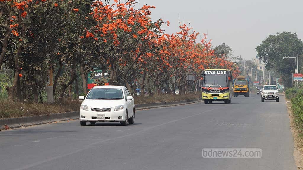 অনেকেই ব্যক্তিগত যানবাহন থামিয়ে ছবি তোলেন।