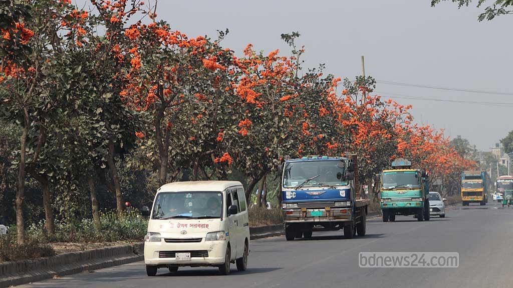 পলাশ ফুল মনে করিয়ে দেয় বসন্ত এসে গেছে।