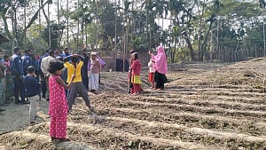 বরিশালে ইউপি সদস্যের পানবরজ পুড়িয়ে দেওয়ার অভিযোগ