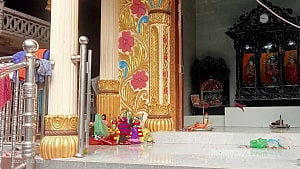 মানিকগঞ্জে মন্দির থেকে স্বর্ণালঙ্কার চুরি, জঙ্গলে মিলল মূর্তি