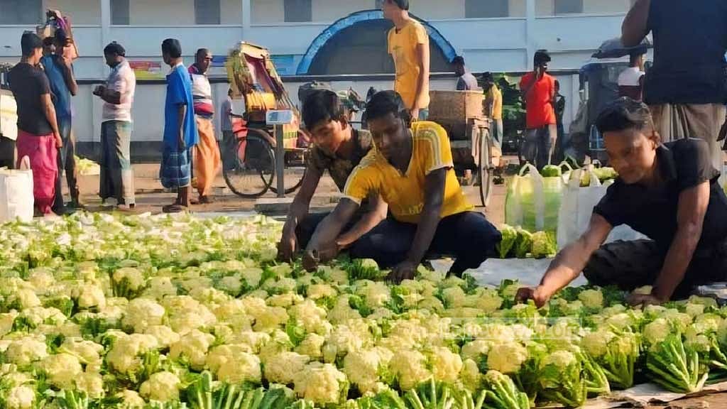 কৃষকদের কাছ থেকে দুই আড়াই টাকায় ফড়িয়াদের কেনা ফুলকপি হাত বদলে ঢাকা বিক্রি হচ্ছে গড়ে ২০ টাকা করে।