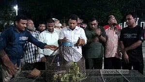ভ্রাম্যমাণ আদালতের মাধ্যমে ৮০ টিয়া অবমুক্ত, ২ জনের দণ্ড