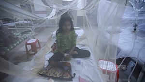 হাসপাতালে ডেঙ্গু রোগীর চাপ