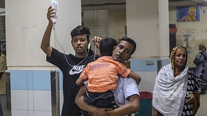 Dengue: 2 die, 337 hospitalised