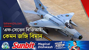 মাইলস্টোনে বিধ্বস্ত যুদ্ধবিমানটি আসলে কেমন?