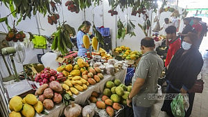 Hill fruits fair
