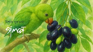 গাছেরা যা জানে, পাখিরা যা শেখে