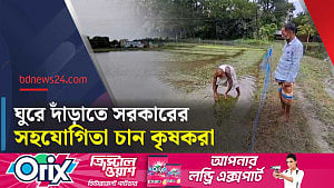 বৃষ্টি-বন্যায় নোয়াখালীতে বীজতলা ও সবজি ক্ষেতের ক্ষতি, দিশেহারা কৃষক