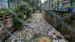 Iron fences can't fend off pollution