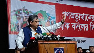 17 years of struggle brought down fascism: Salahuddin