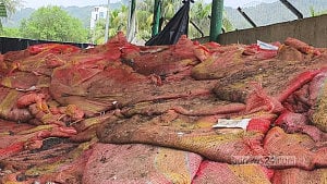 No trade through Teknaf port for 3 months, goods rotting
