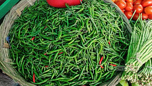 Green chilli losing heat, spice prices soar