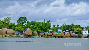 The monsoon beauty of the Haors