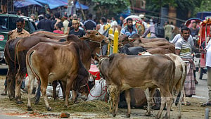 ঈদ উৎসবে রঙিন অর্থনীতি