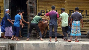 পশু জবাই নগরজুড়ে