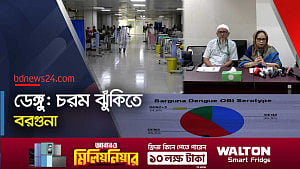 বরগুনায় এইডিস মশা বেশি কেন? কী বলছে আইইডিসিআর