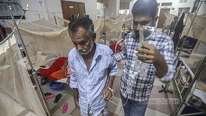 হাসপাতালে বাড়ছে ডেঙ্গু রোগী