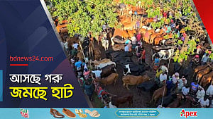 ফরিদপুরে জমে উঠছে কোরবানির হাট