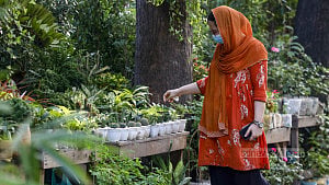 ফুটপাতের নার্সারিতে এক টুকরো সবুজ