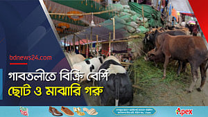 মিরপুর আর গাবতলীর হাটে গরুর দামের তারতম্যে ক্ষিপ্ত ক্রেতা