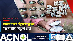 পুকুরে মাছের সঙ্গে মুক্তা চাষে সফলতা
