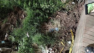 Crude bomb explodes near Raju Sculpture