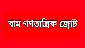 LDA questions April election call