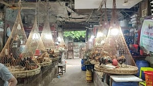 চড়েছে সোনালি মুরগি-আলু, কমেছে ডিমের দাম