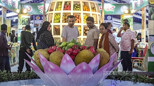 জাতীয় ফল মেলায় নানা জাতের ফল