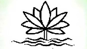 NCP wants white or red water lily symbol for elections