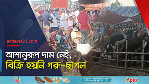 শেষ বেলার কোরবানির হাটে নীলফামারীতে মন্দা