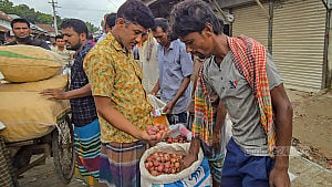 কৃষকের পেঁয়াজের বাজার