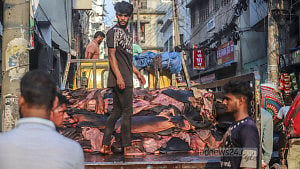 সারা দিন খেটে কাঁচা চামড়ার মৌসুমি ব্যবসায়ীদের ‘মাথায় হাত’