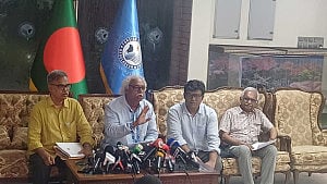স্পষ্ট বলেছি, দ্বিকক্ষ পার্লামেন্টের দরকার নাই: প্রিন্স